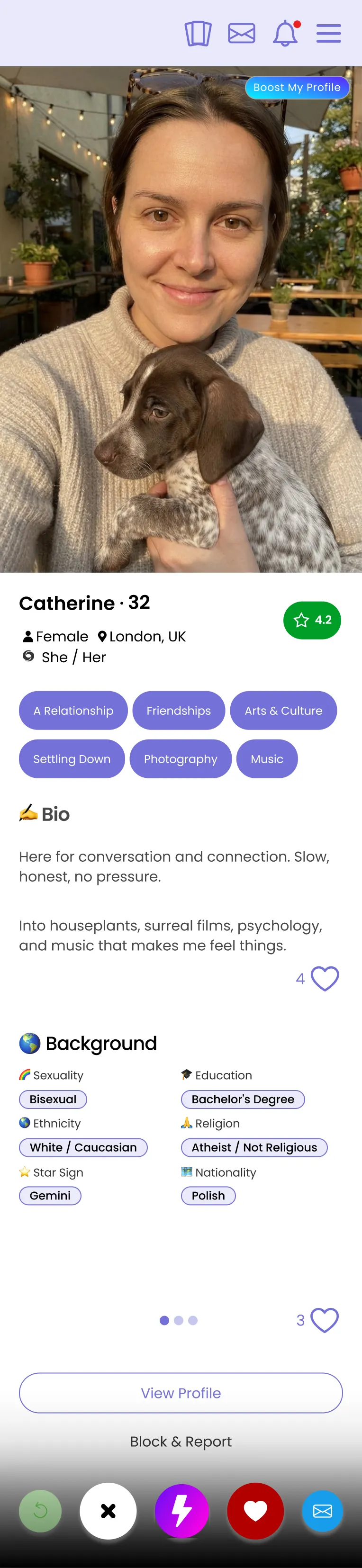The Matches card, with bio, background, lifestyle and appearance, and an action bar beneath.
